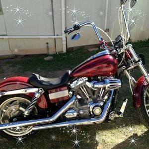 Meet your Posher, Steve